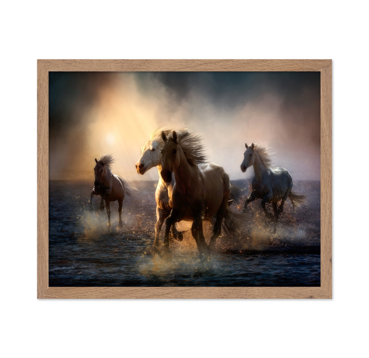Wild Freedom at Golden Hour