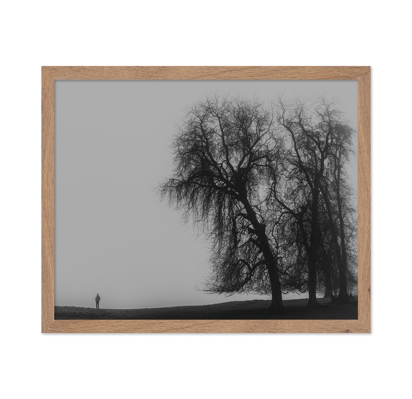 A Monster Calls