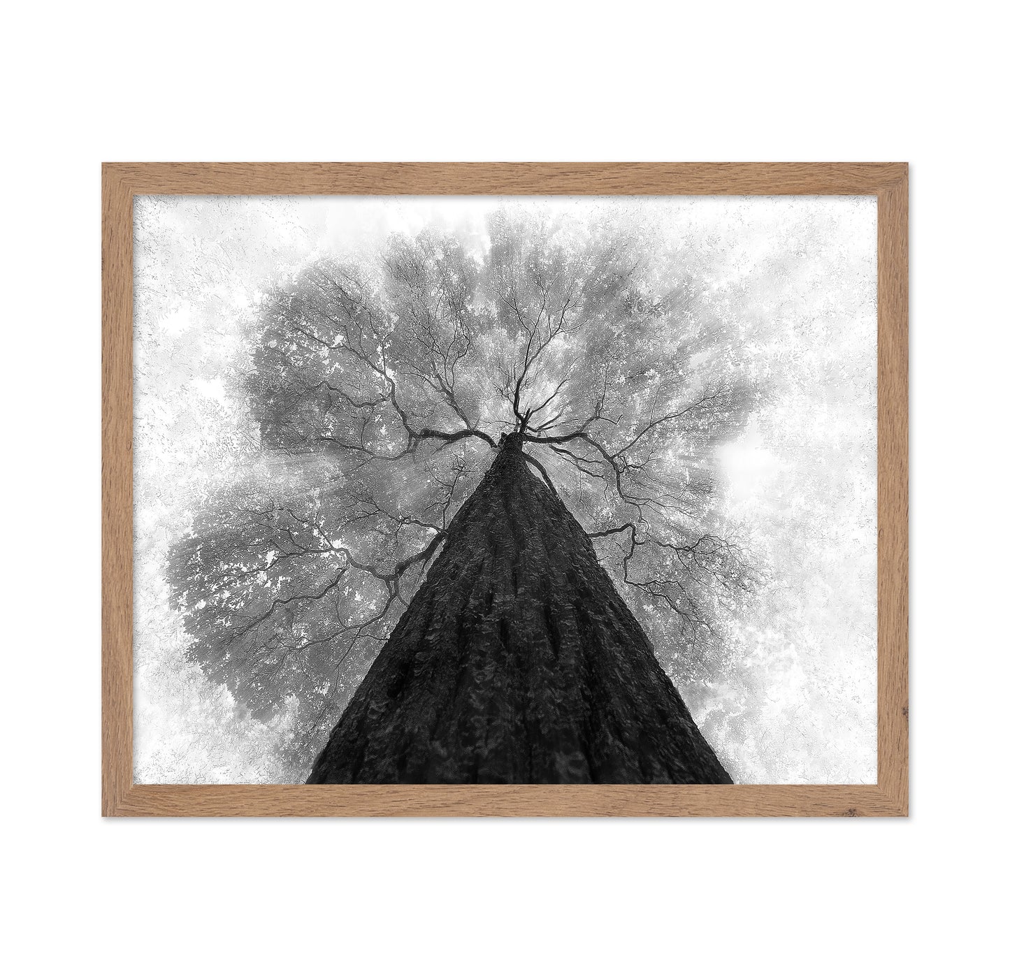 Grow To The Light