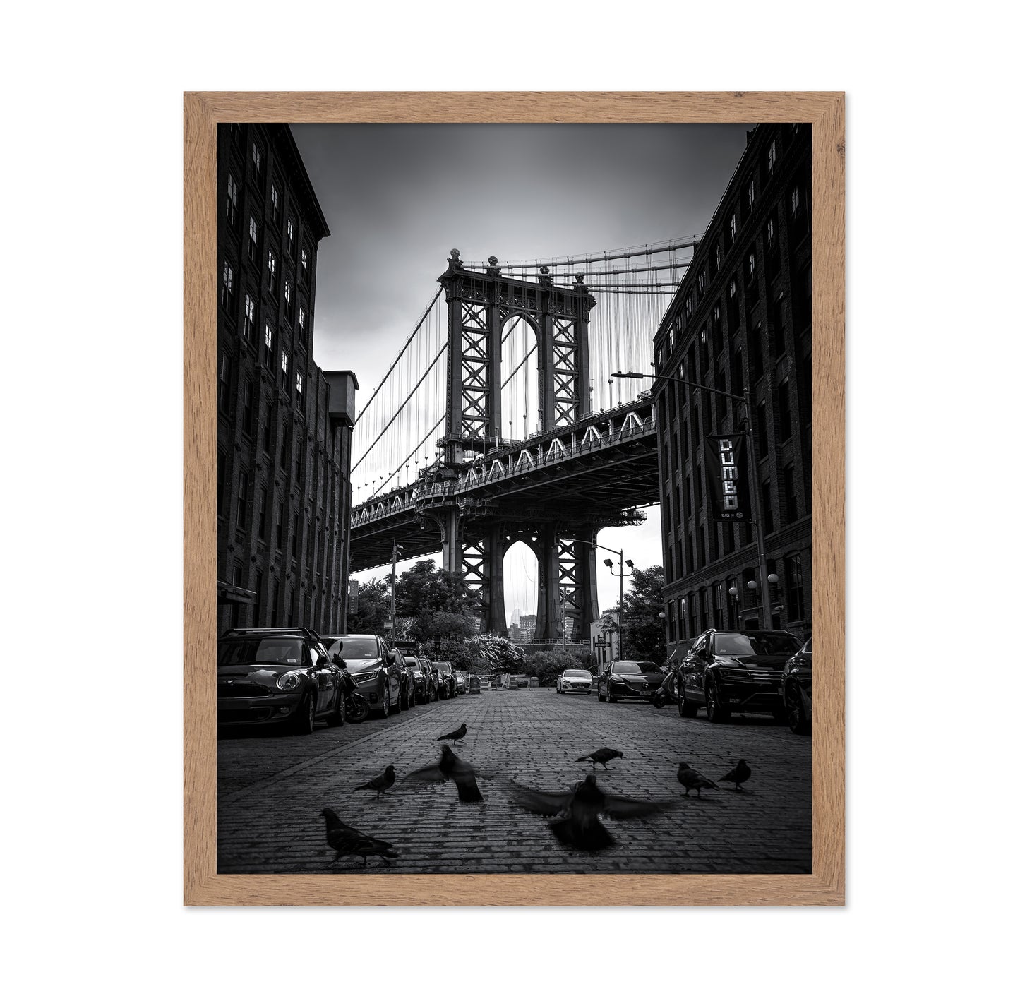 Dumbo - NYC No 1