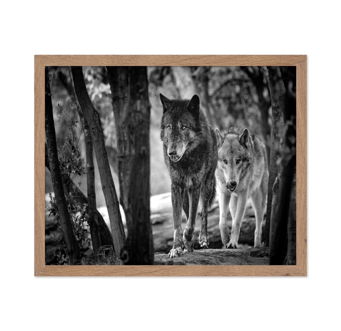 Walking Wolves