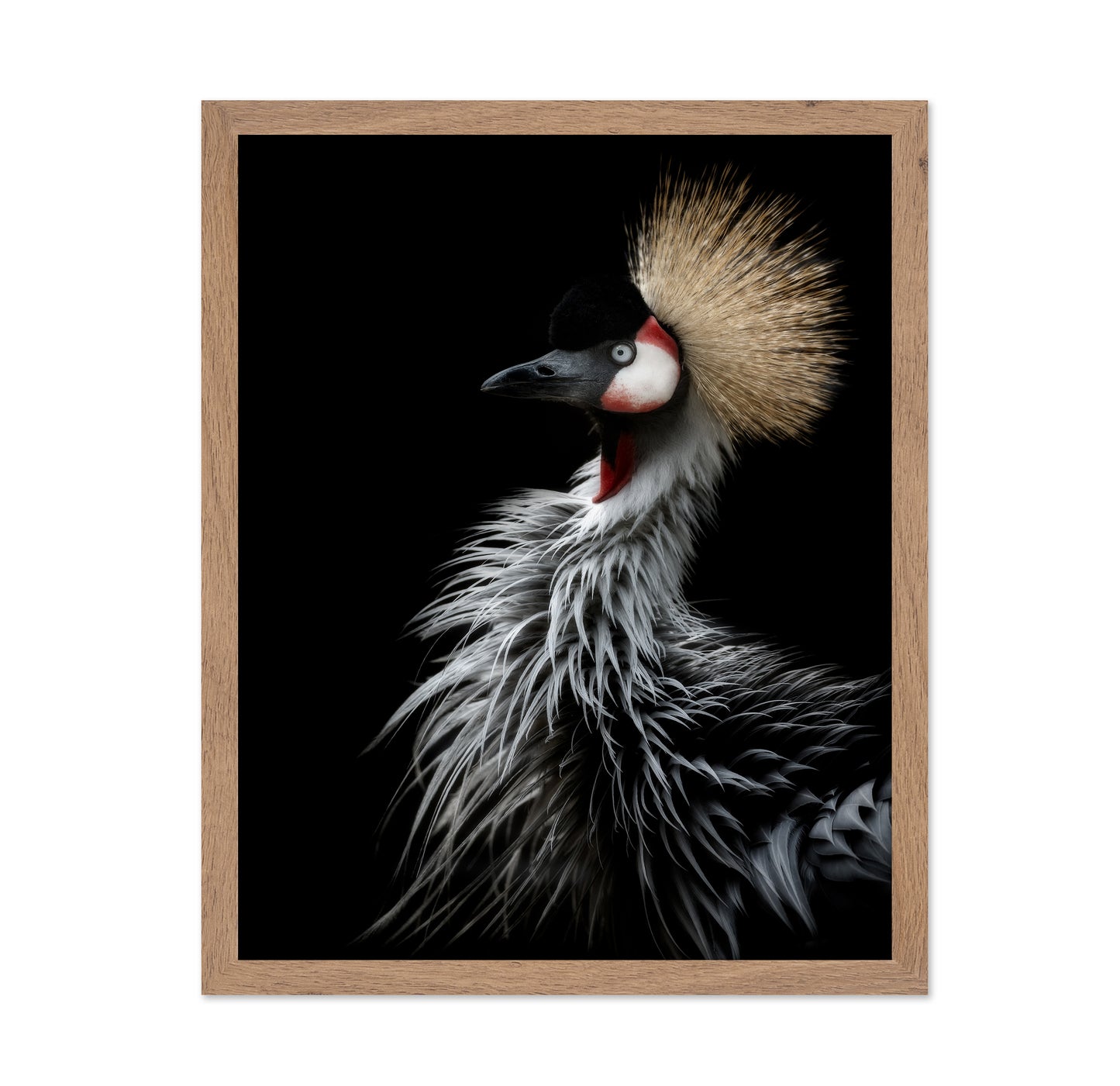 Crowned Crane's Portrait