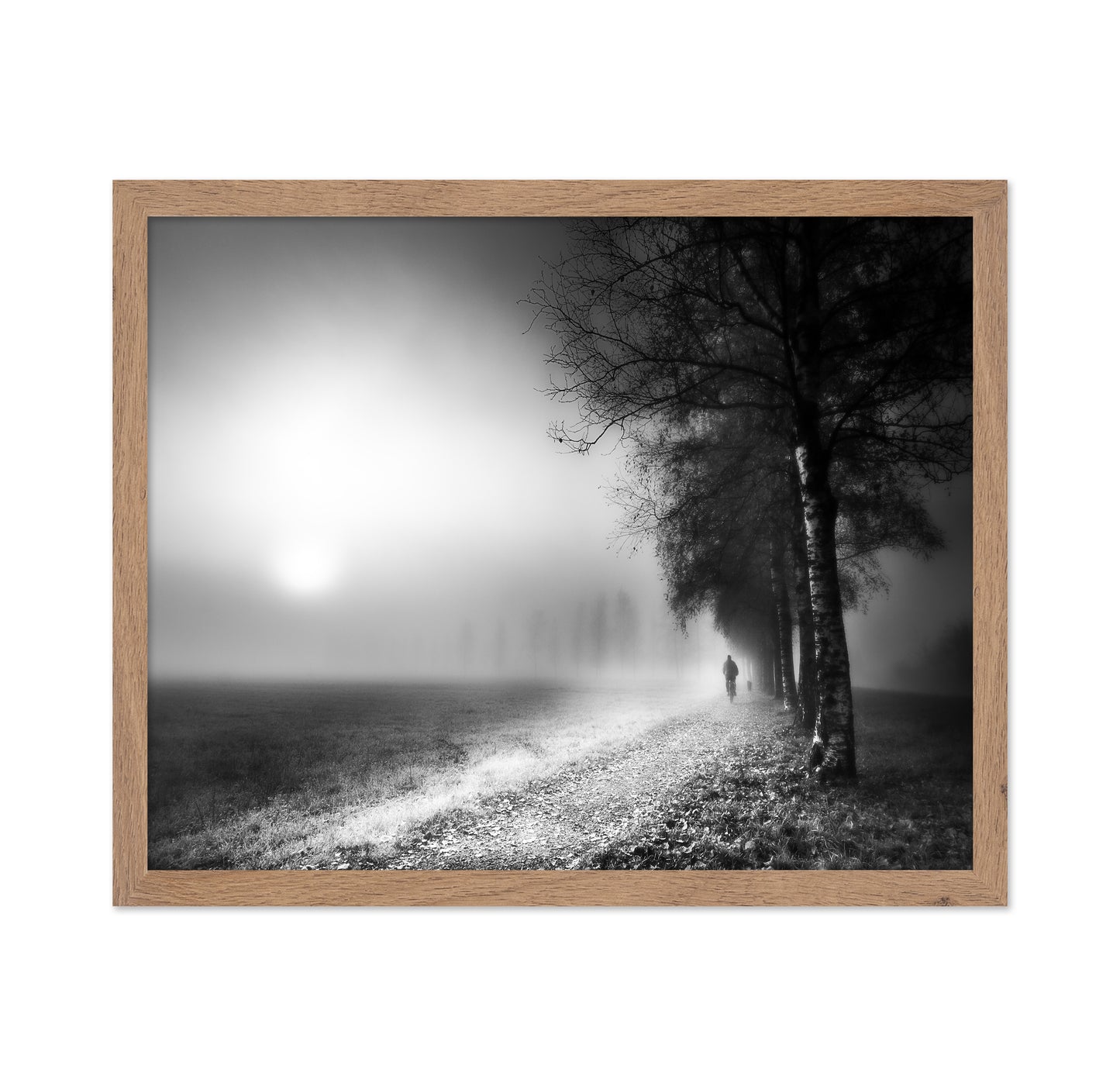 Foggy Morning