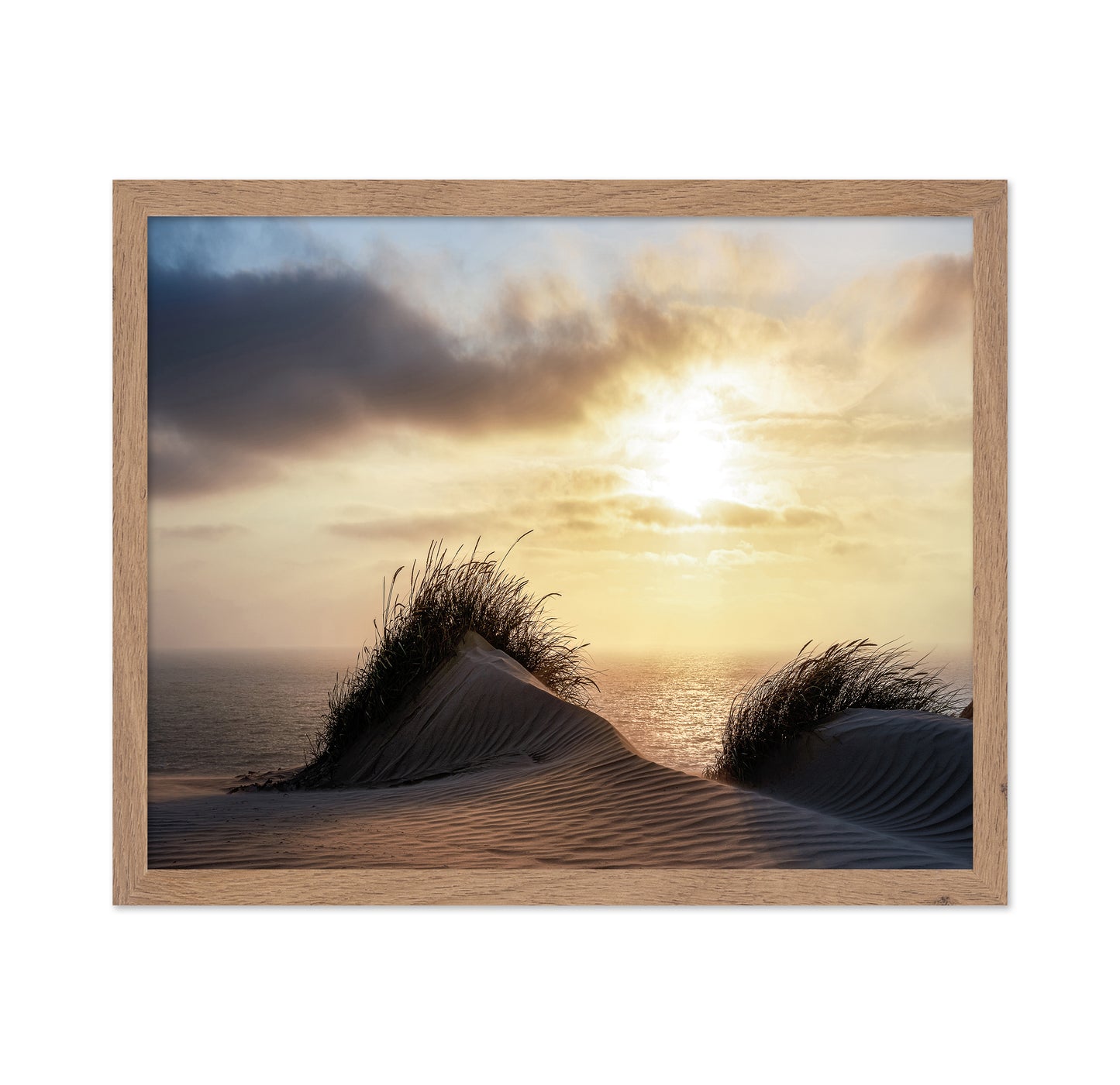 Dune - Denmark