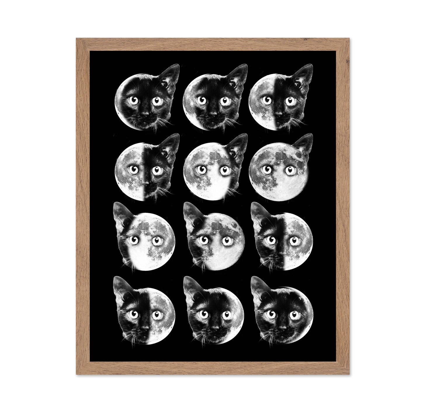 Cat Moon Phases