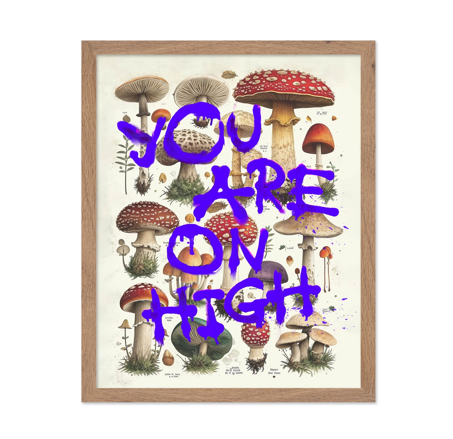 You Are On High