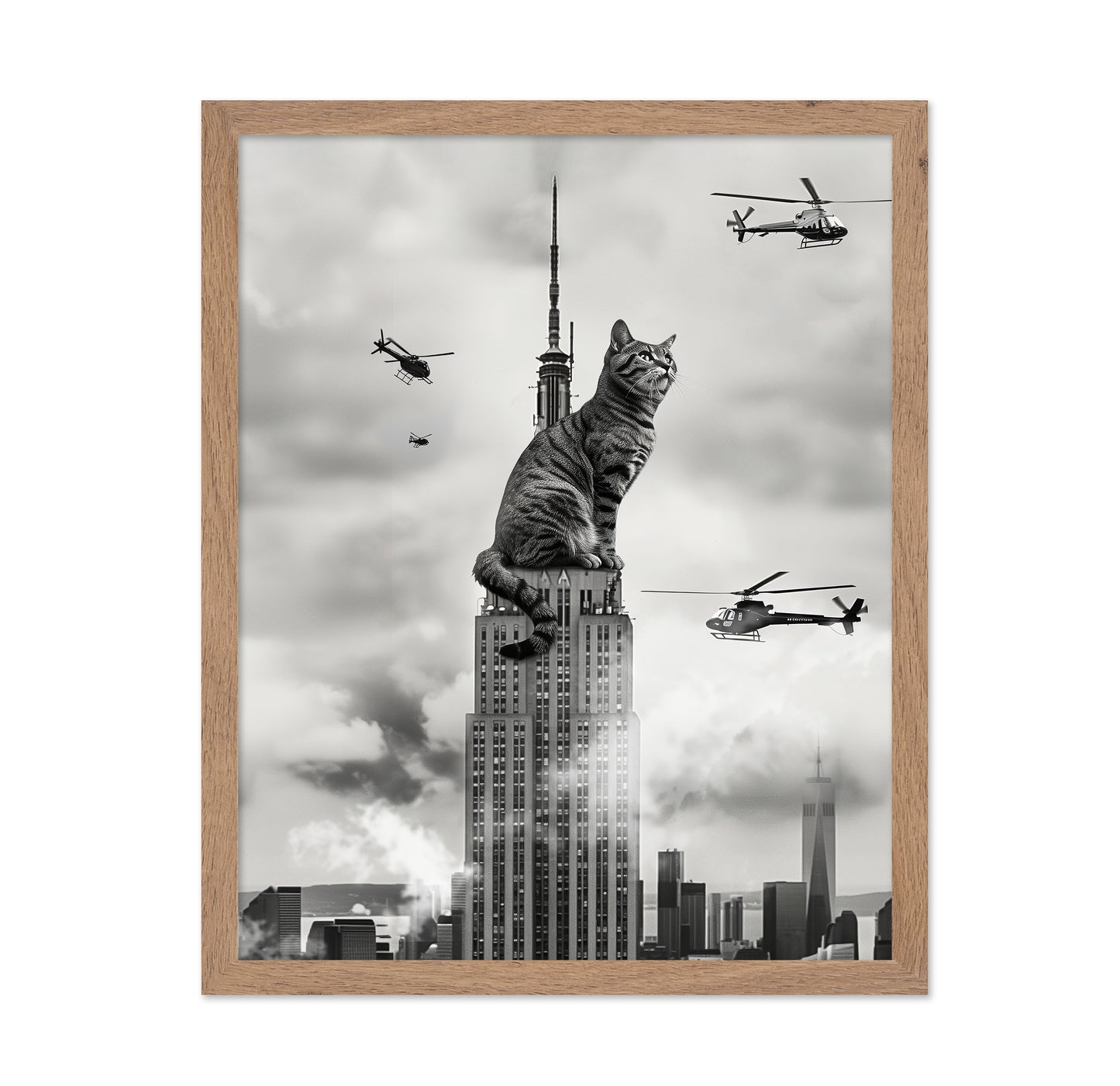 Cat On Top