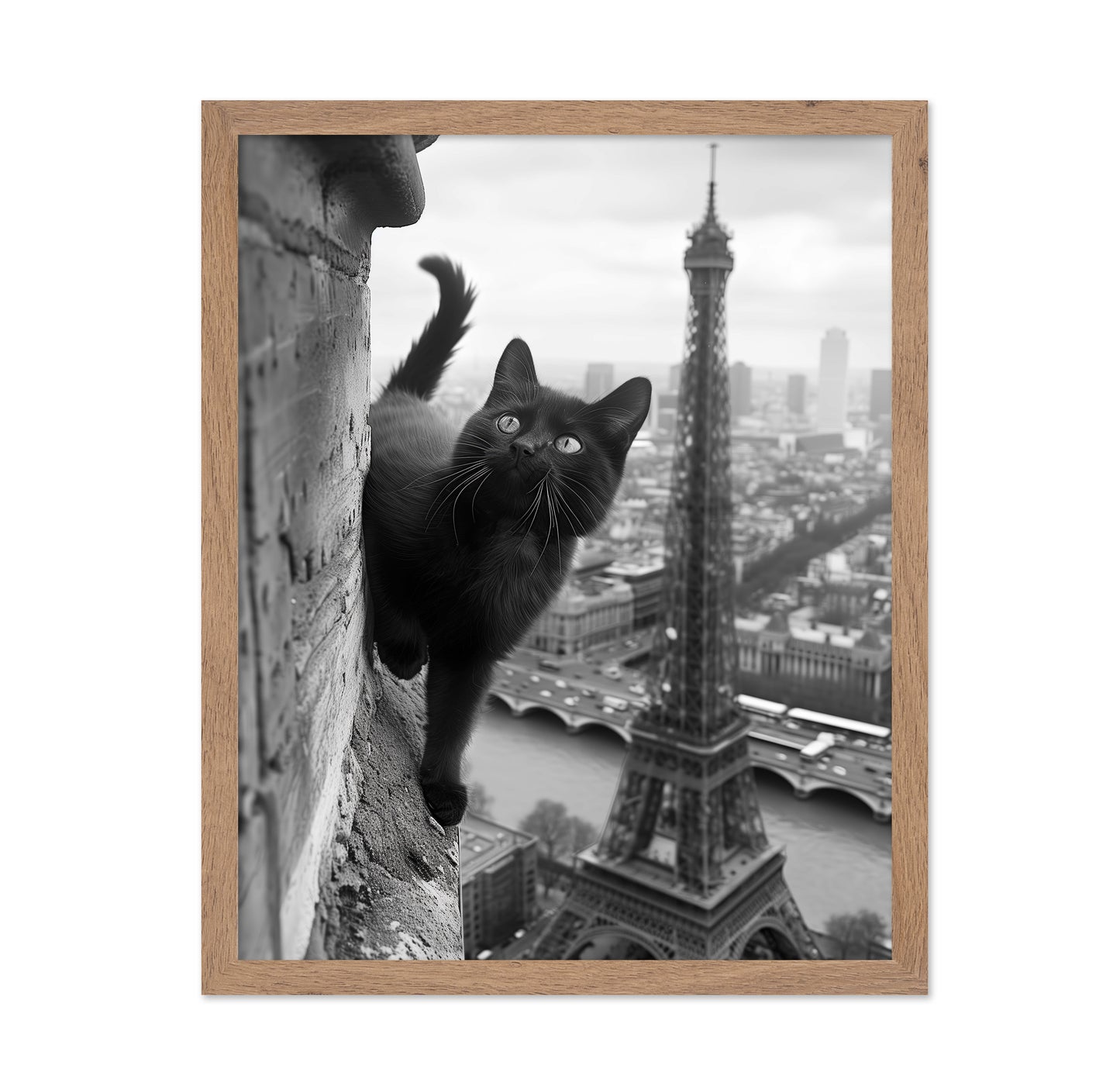 Kitty In Paris