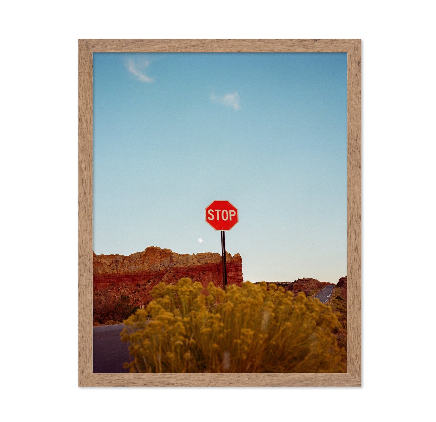 New Mexico Road Trip