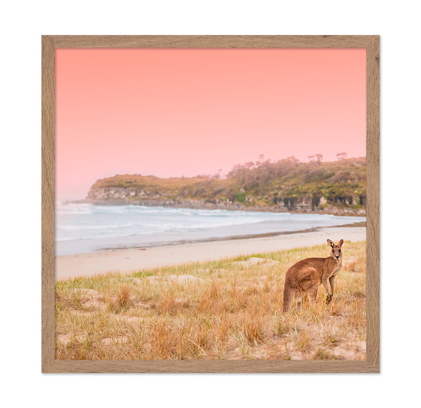 Kangaroo On A Sunset Beach