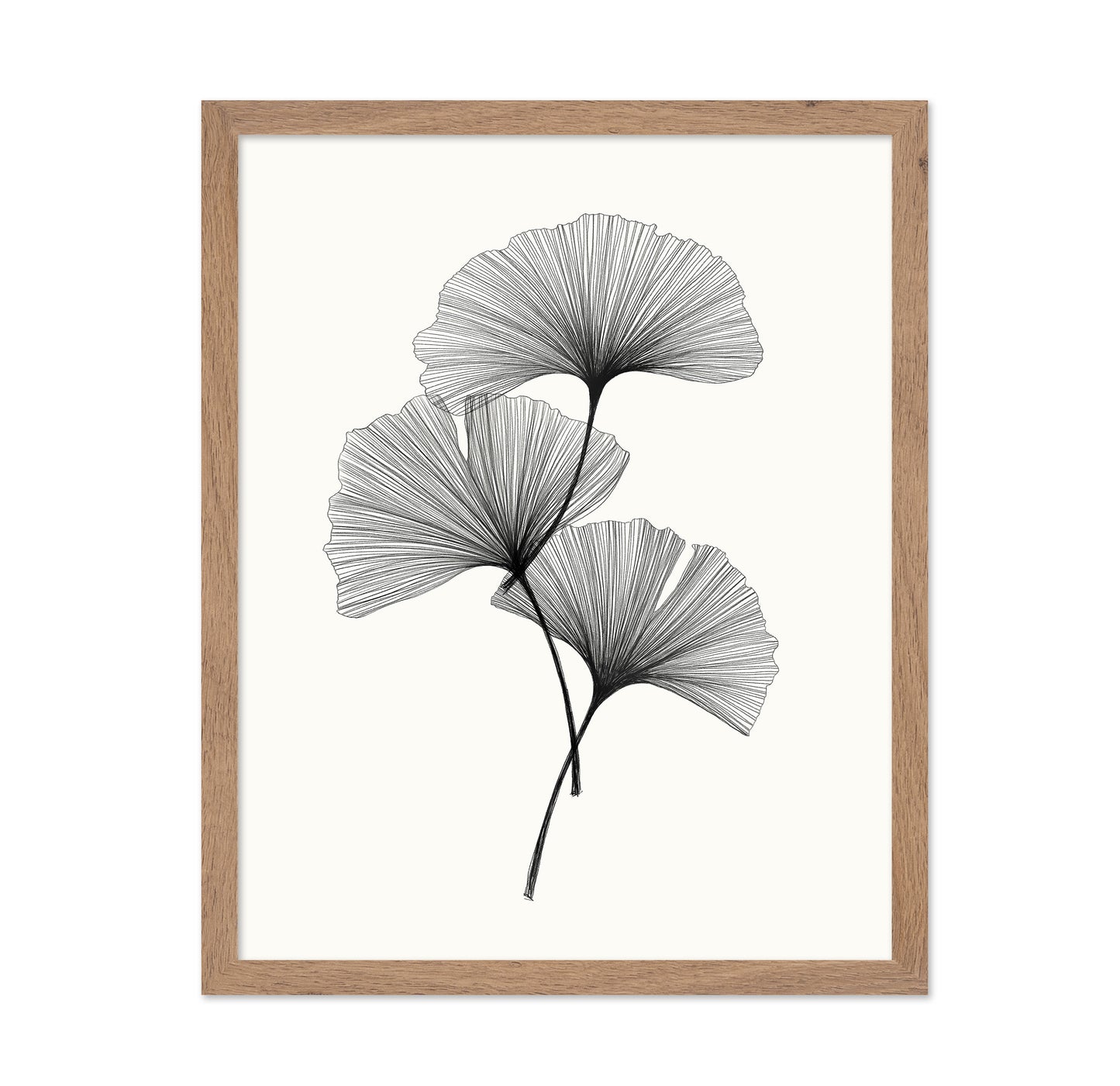 Ginkgo Leaves
