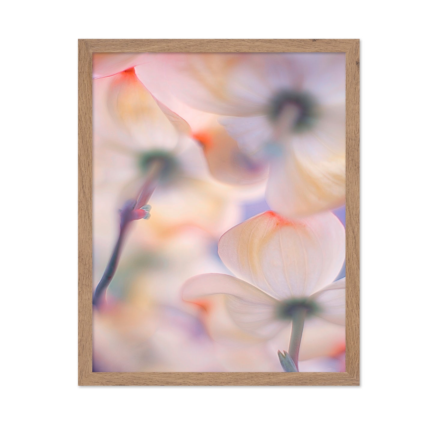 Under The Skirts Of Flowers