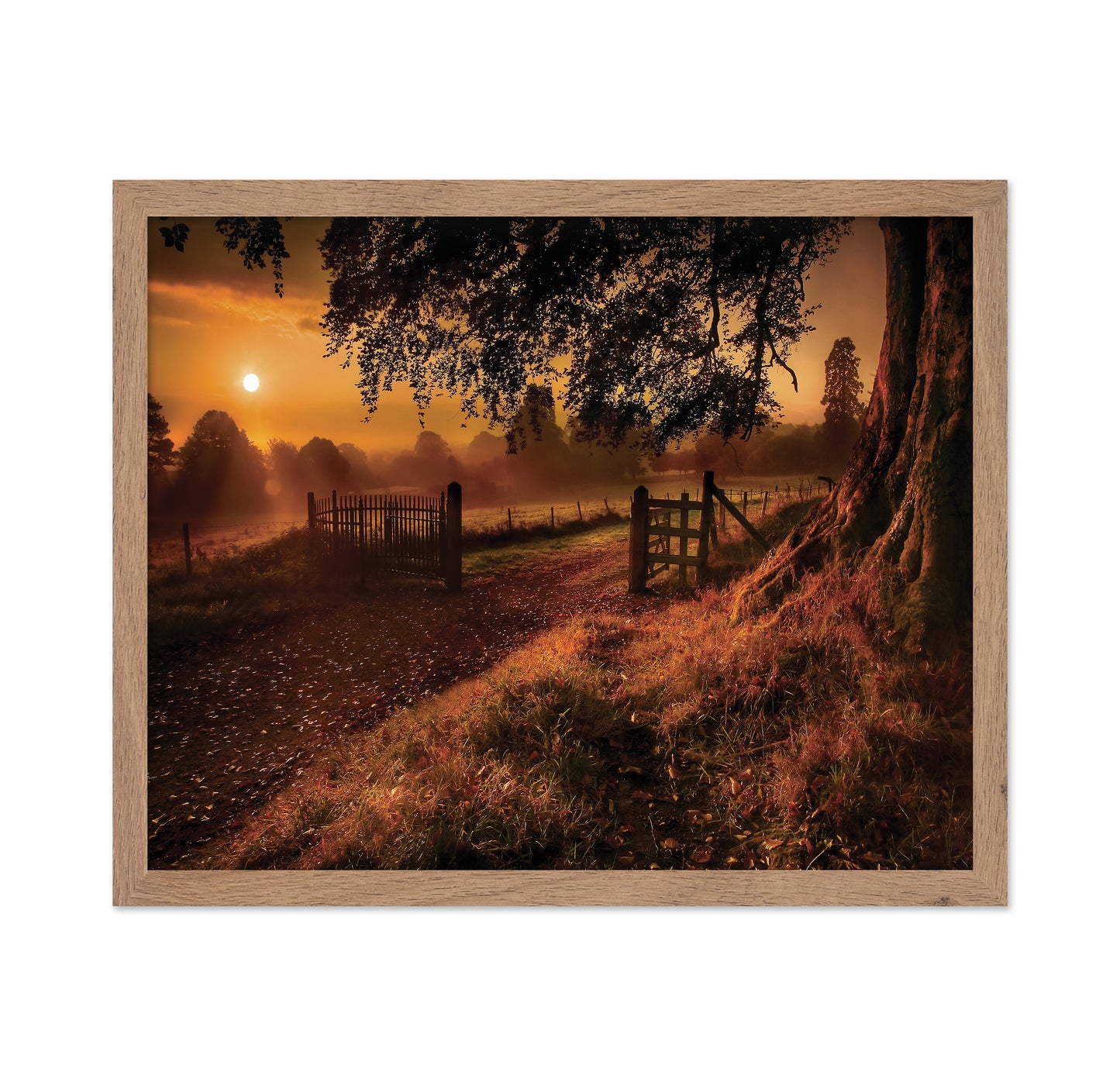 Autumn Sunrise
