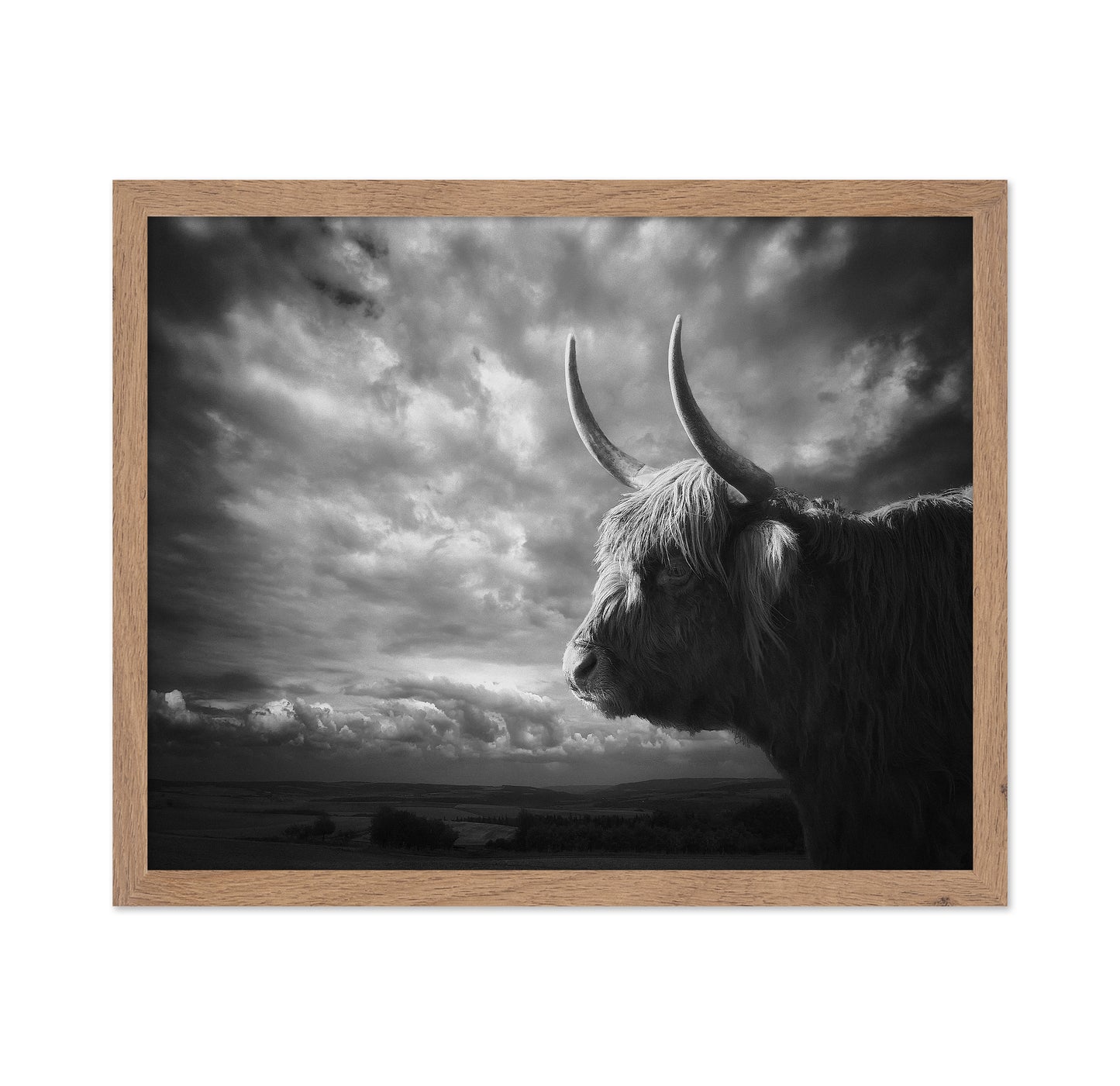 The Highlands