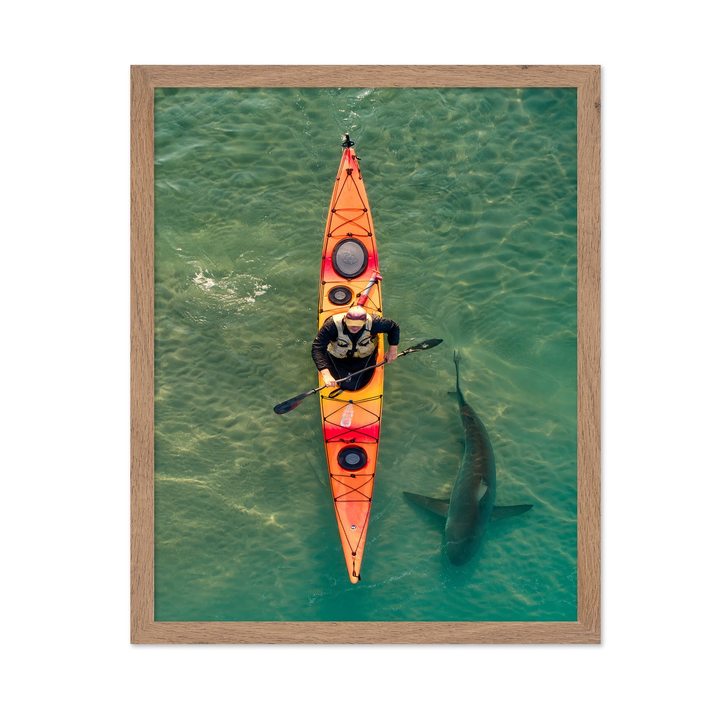Intimate Shark Encounter