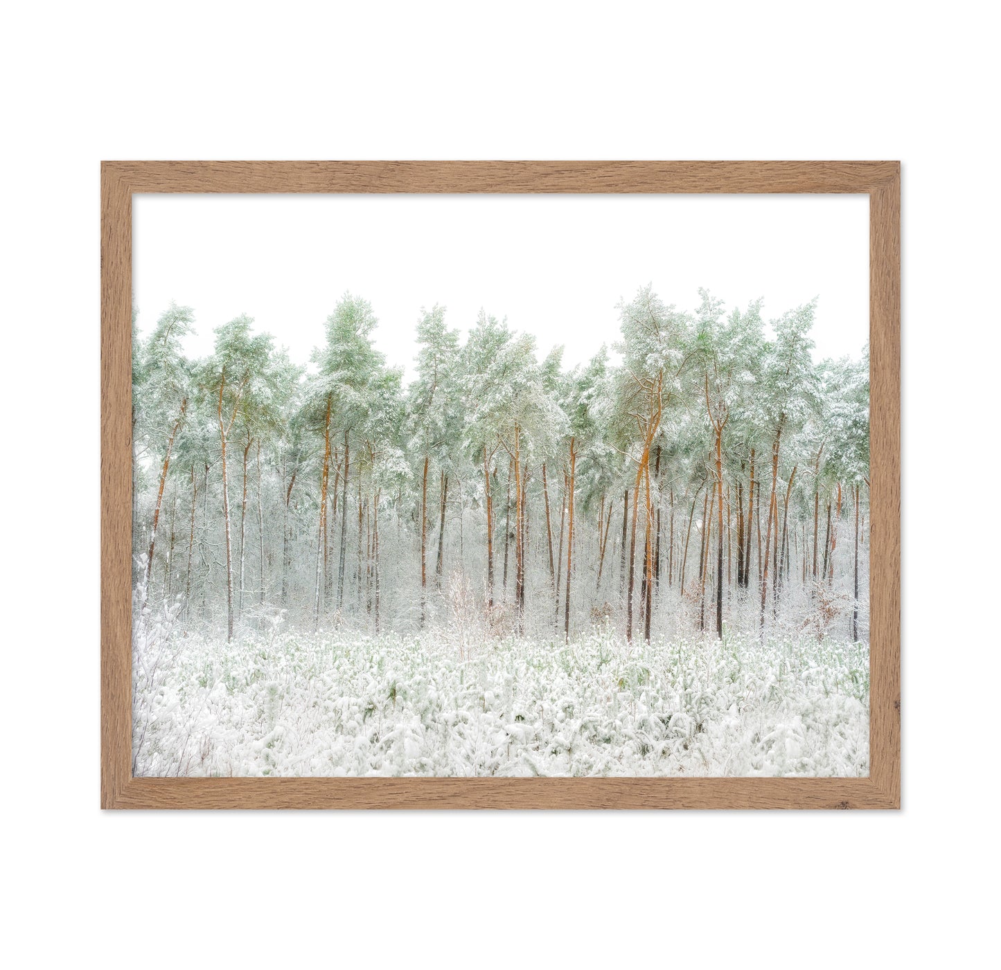 Snow World