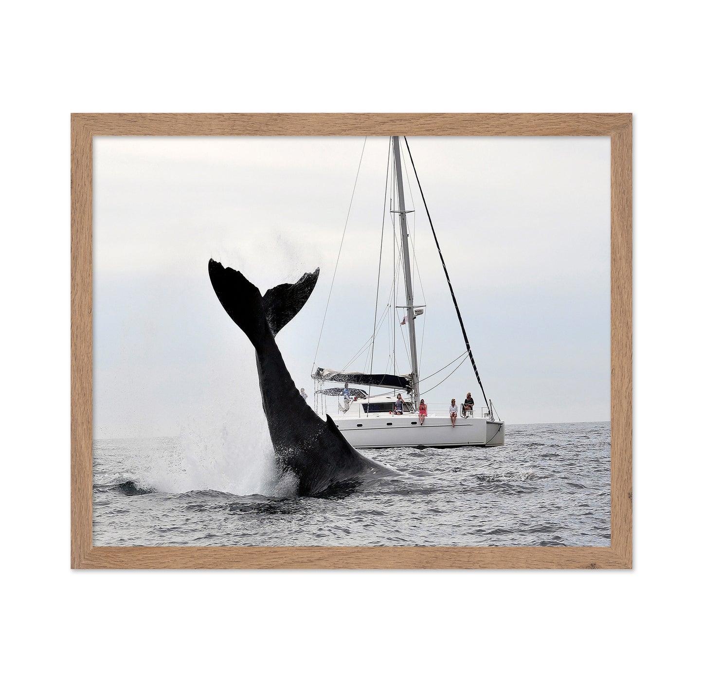 Tale Of A Whale