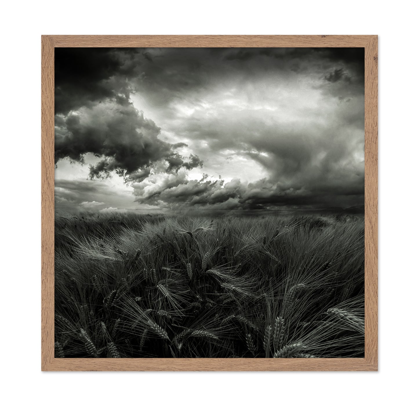 After the Storm