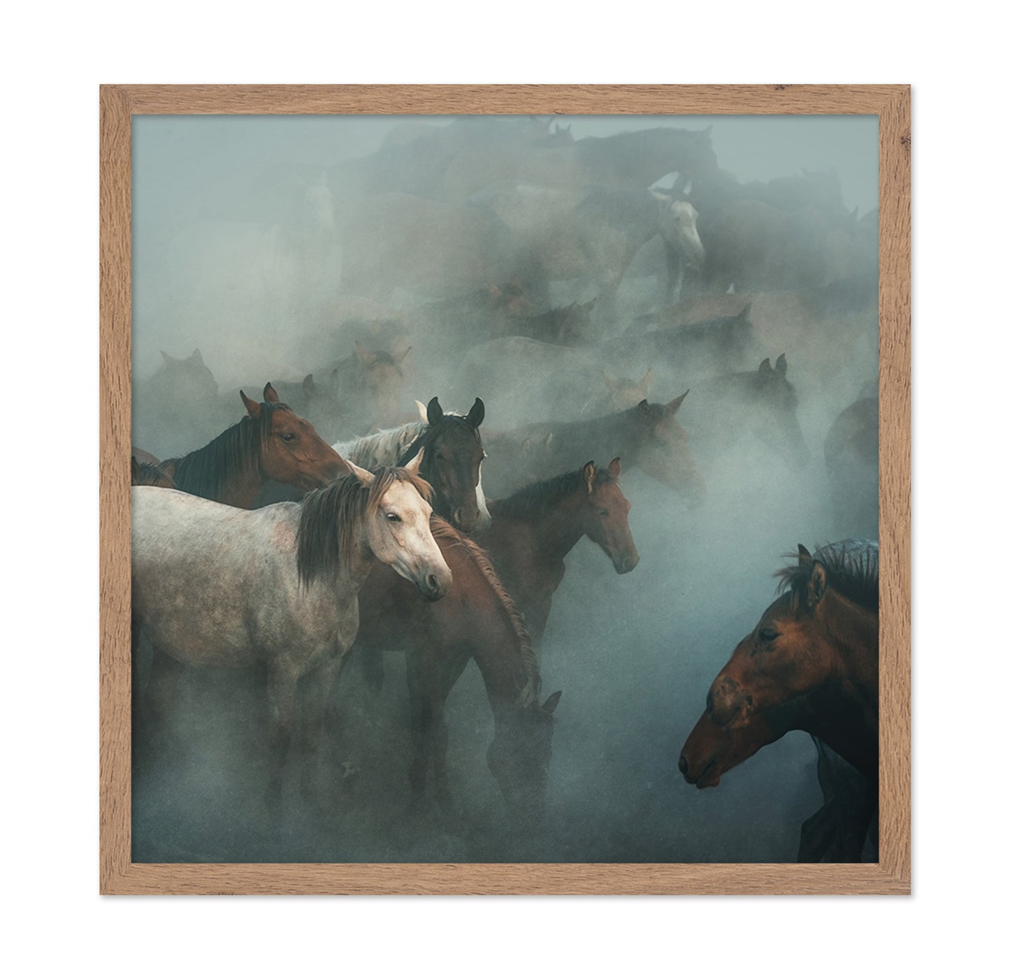 Lost Horses