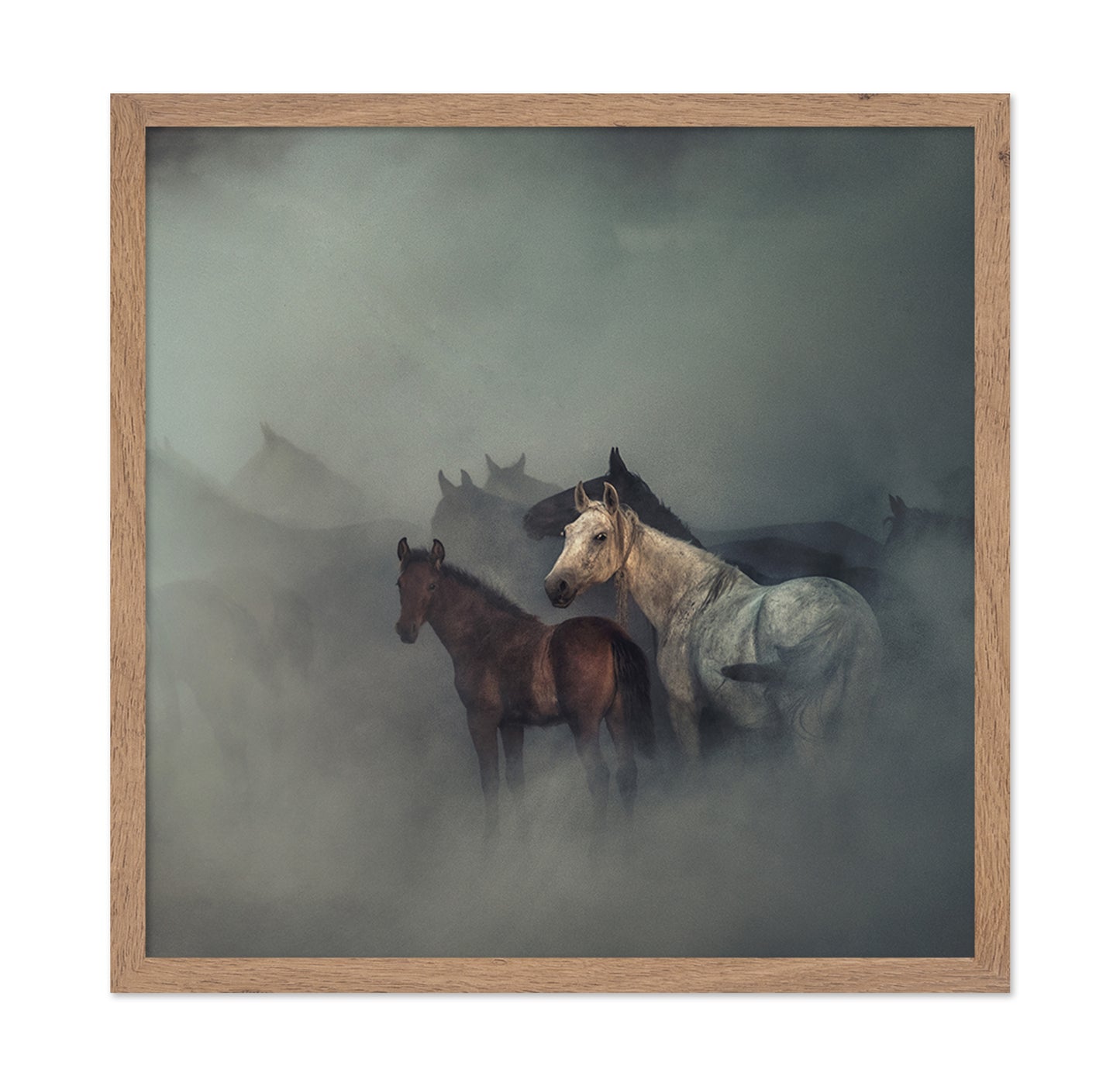 The Lost Horses