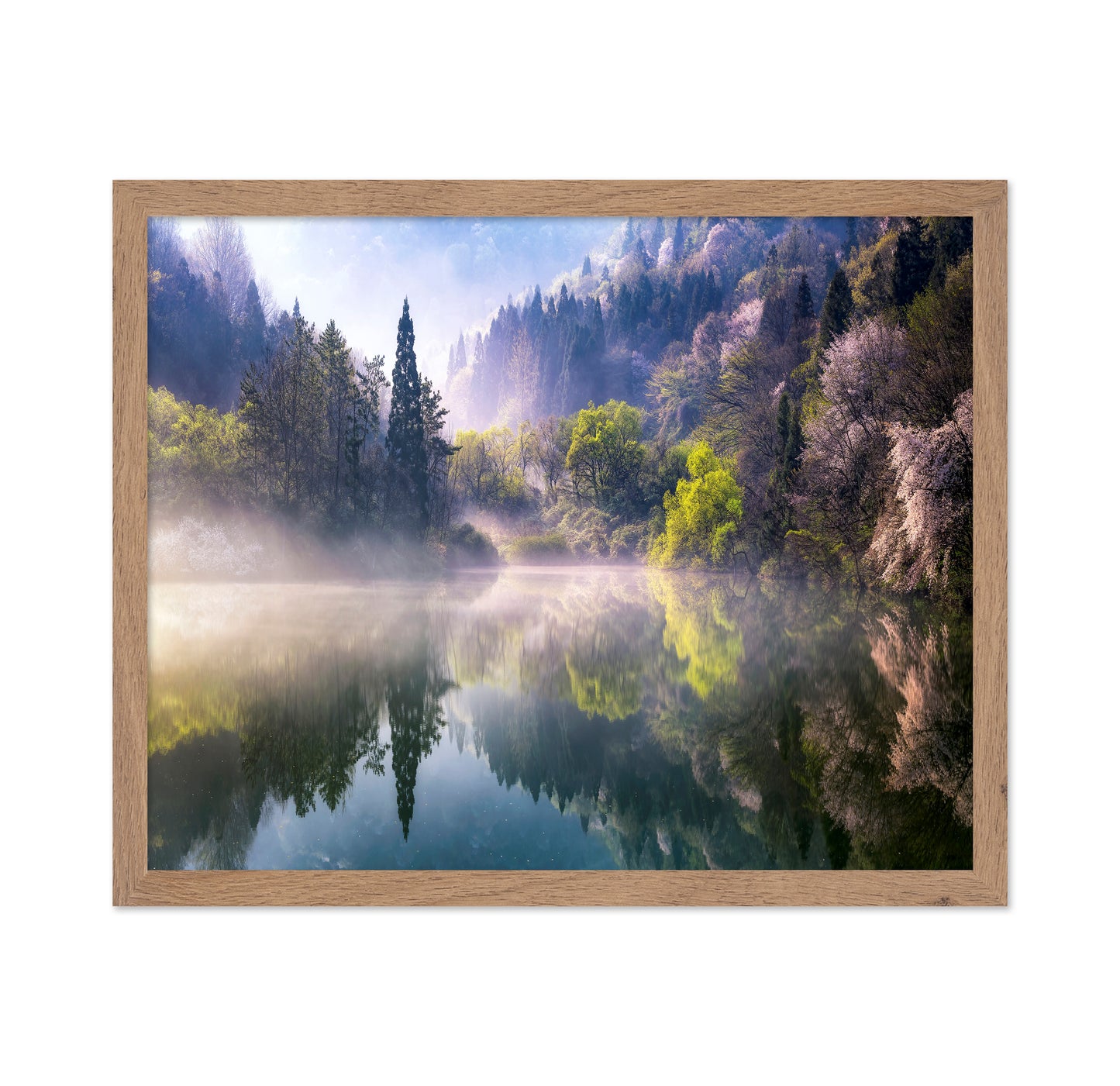 Morning Calm
