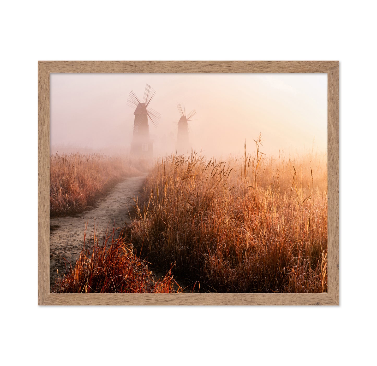 Morning Mist