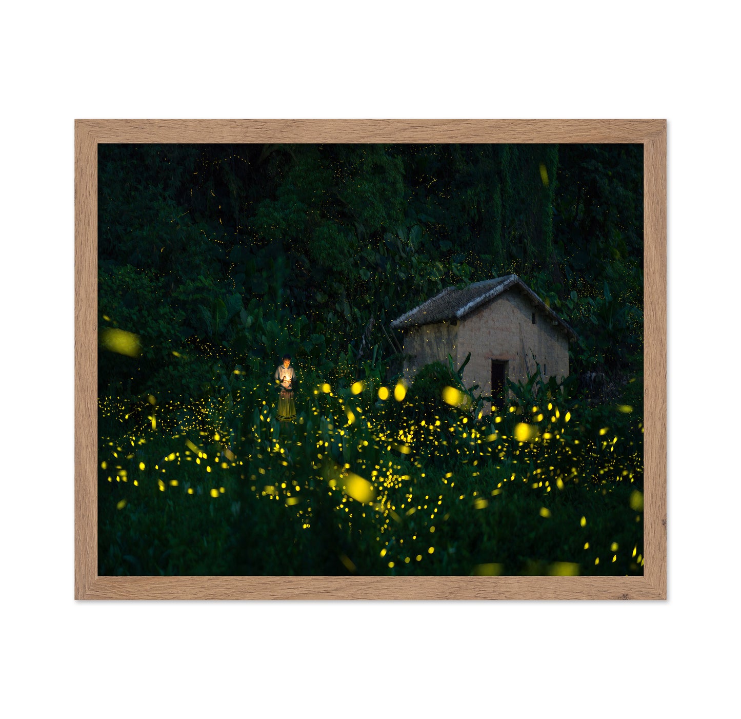 A Little Girl And Firefly