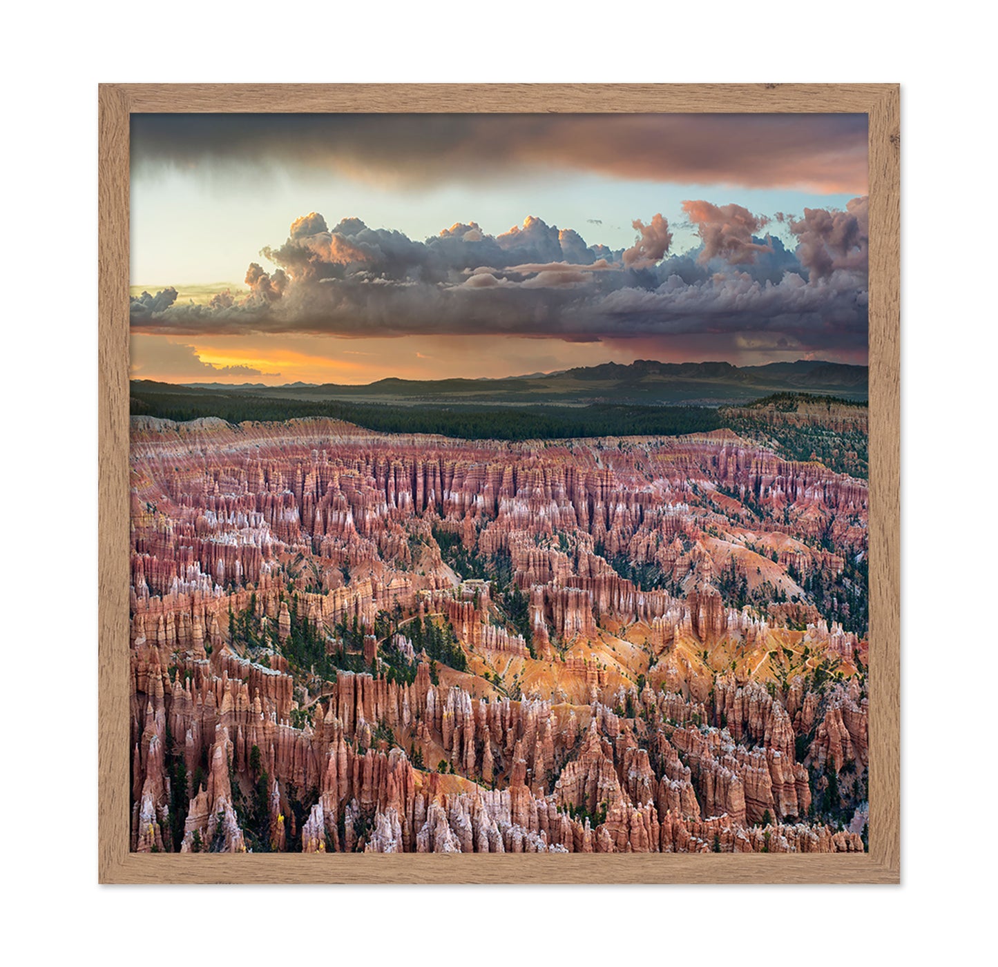Bryce