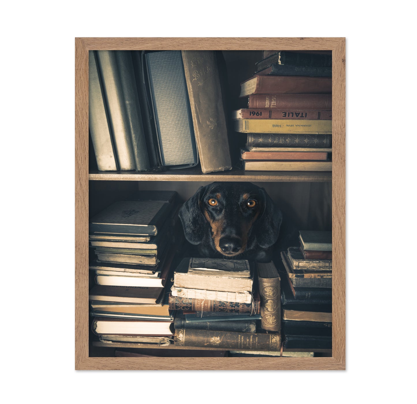 The Little Librarian