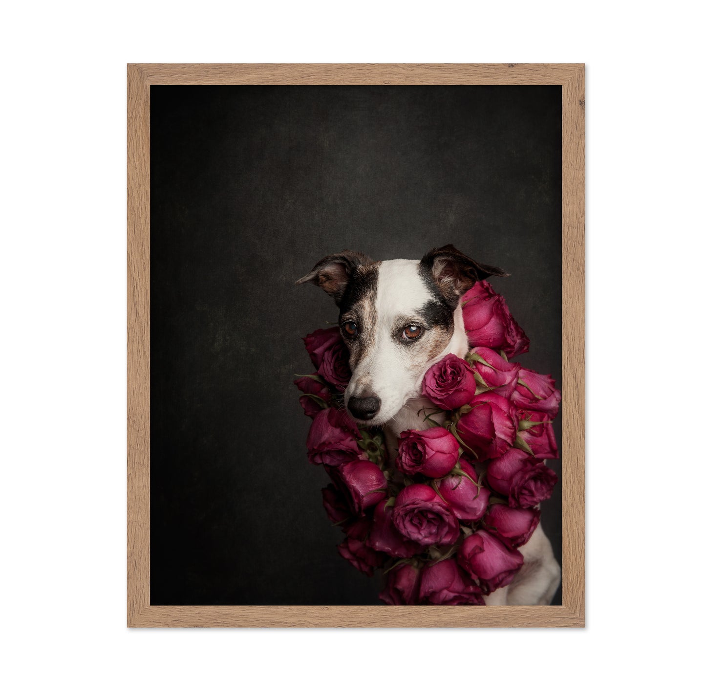 Rose Queen