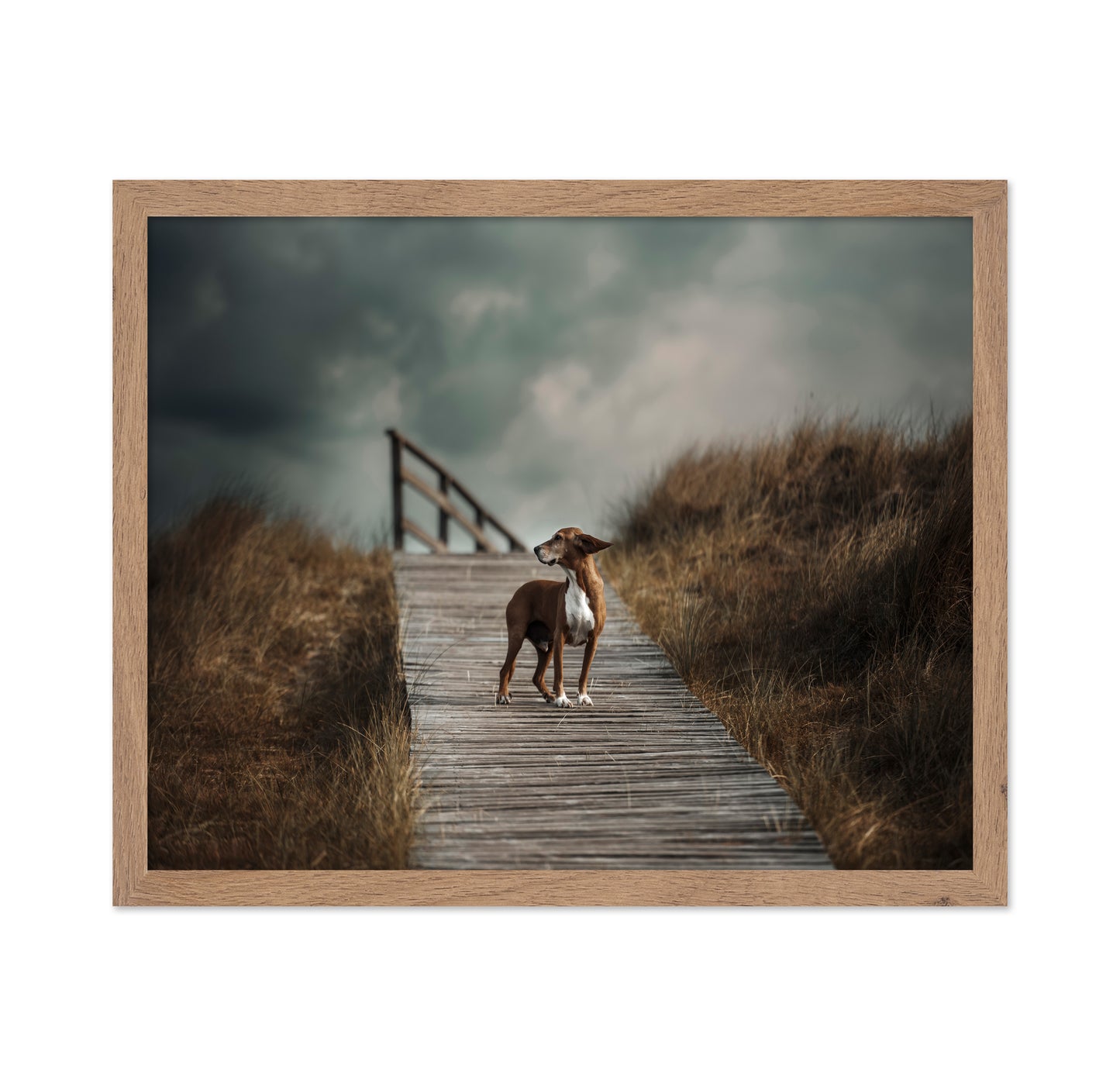 Pathway Sentinel