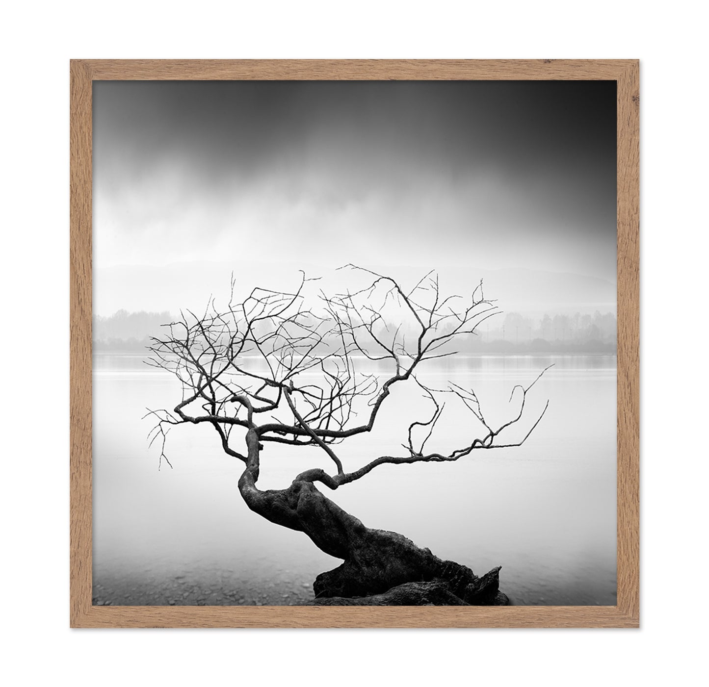 Root To Branches