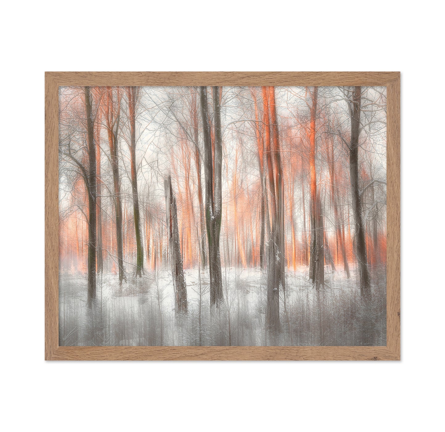 Evening Light Forest Abstract