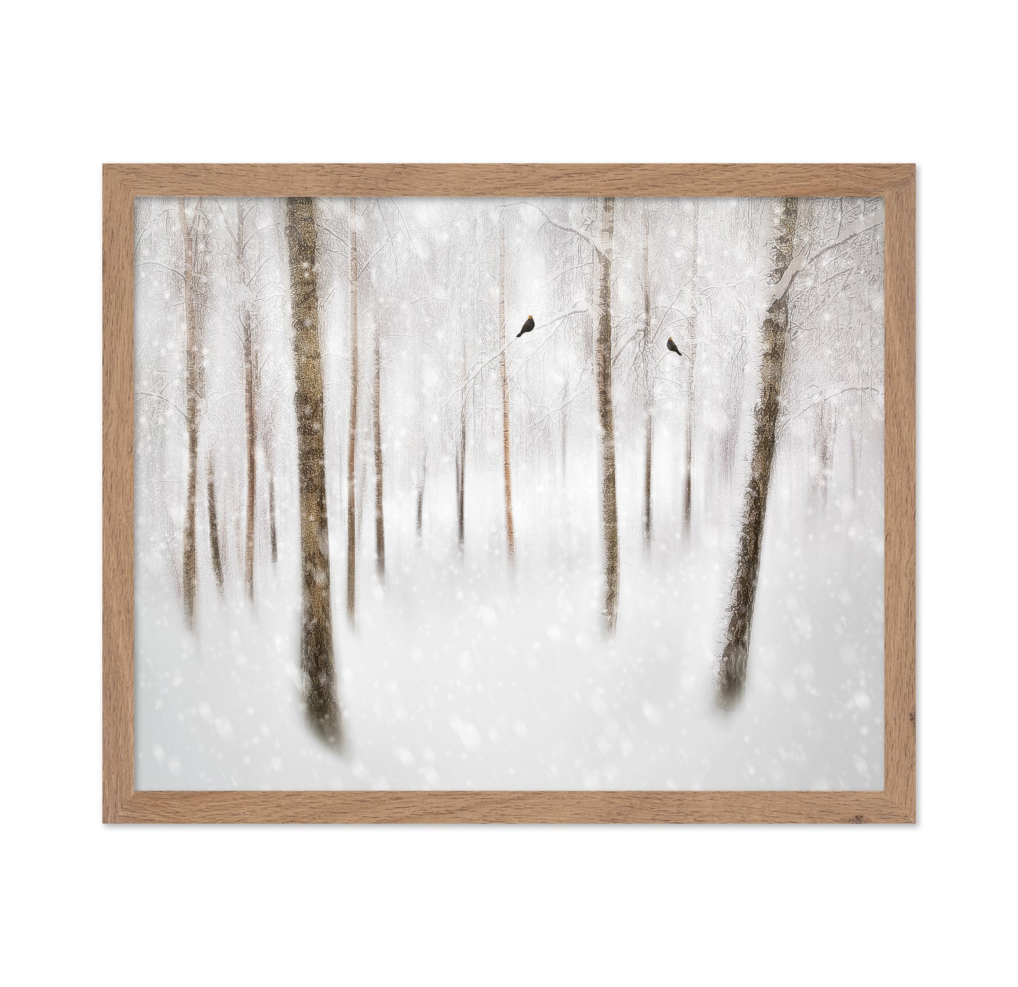Winter Birches