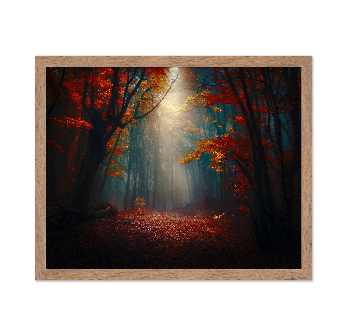 Sunset In The Forest