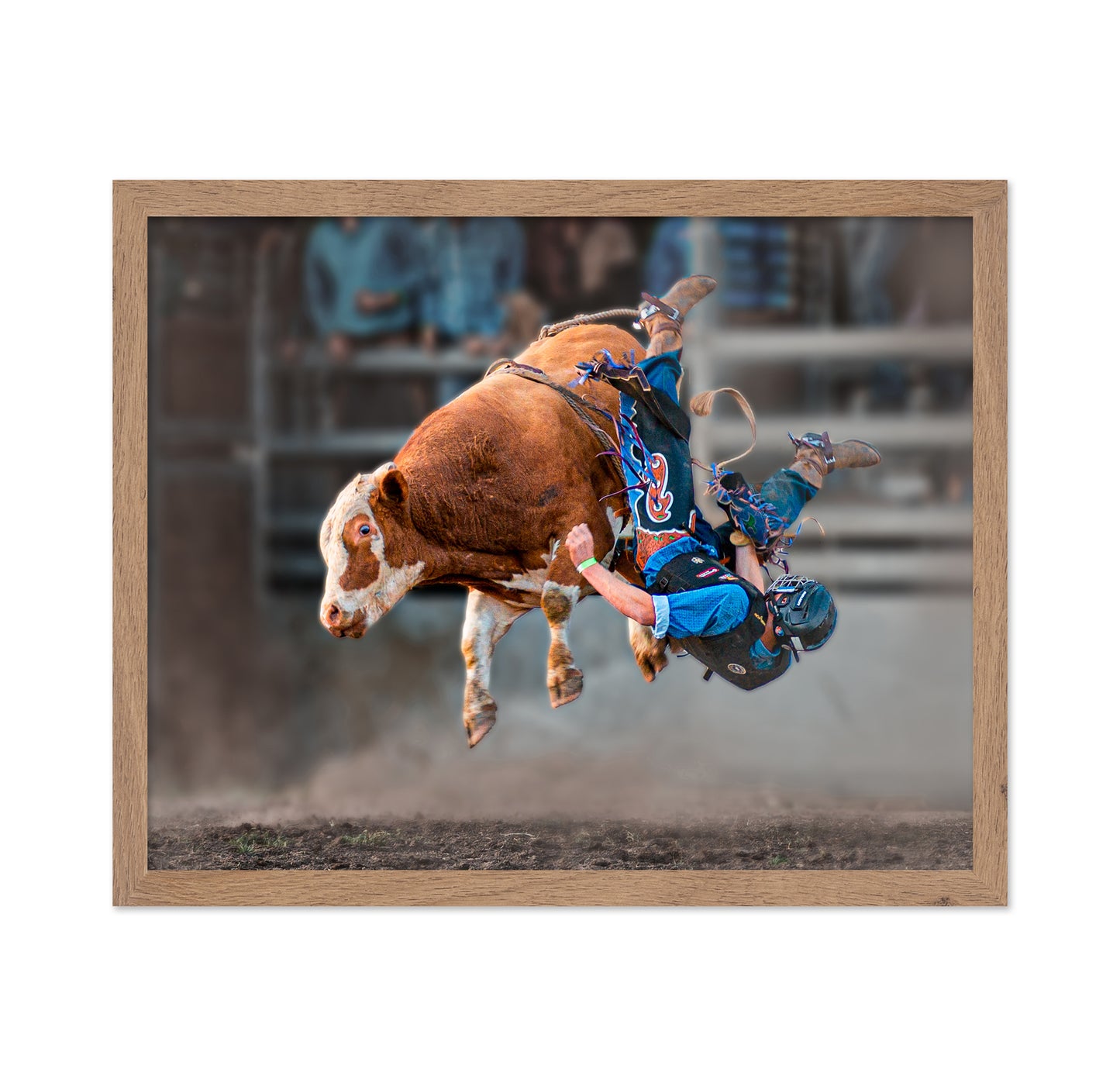 Bull Riding