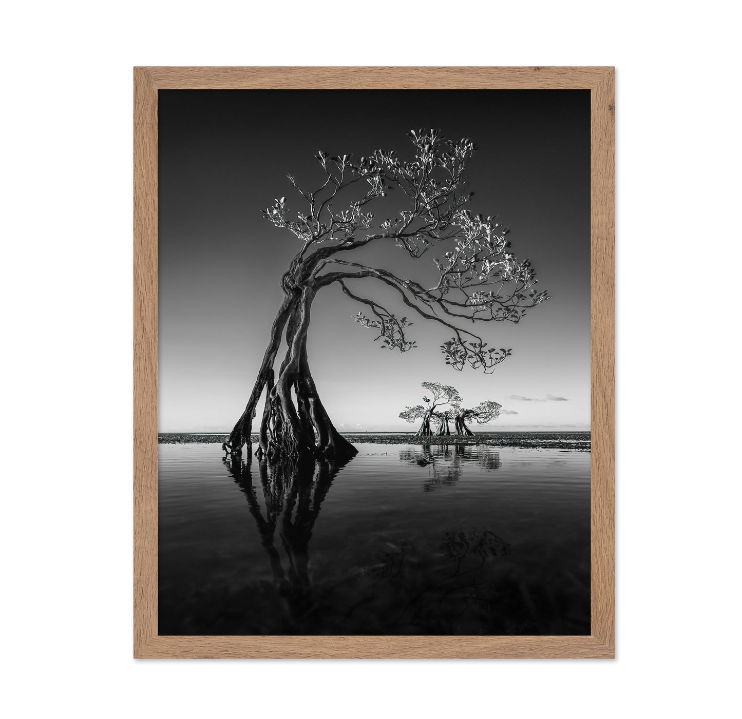 Dancing Mangrove