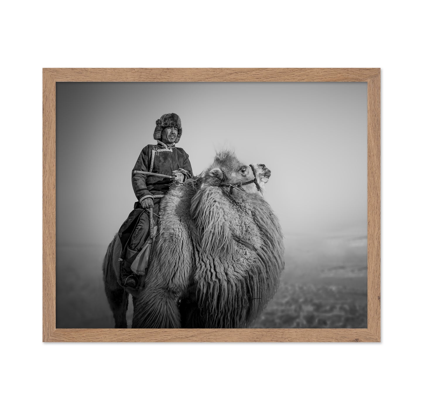 Farmer And His Camel
