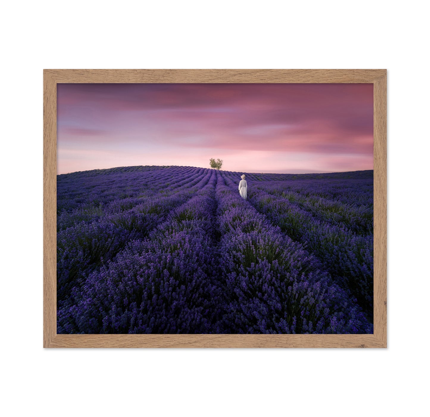Lavender Twilight