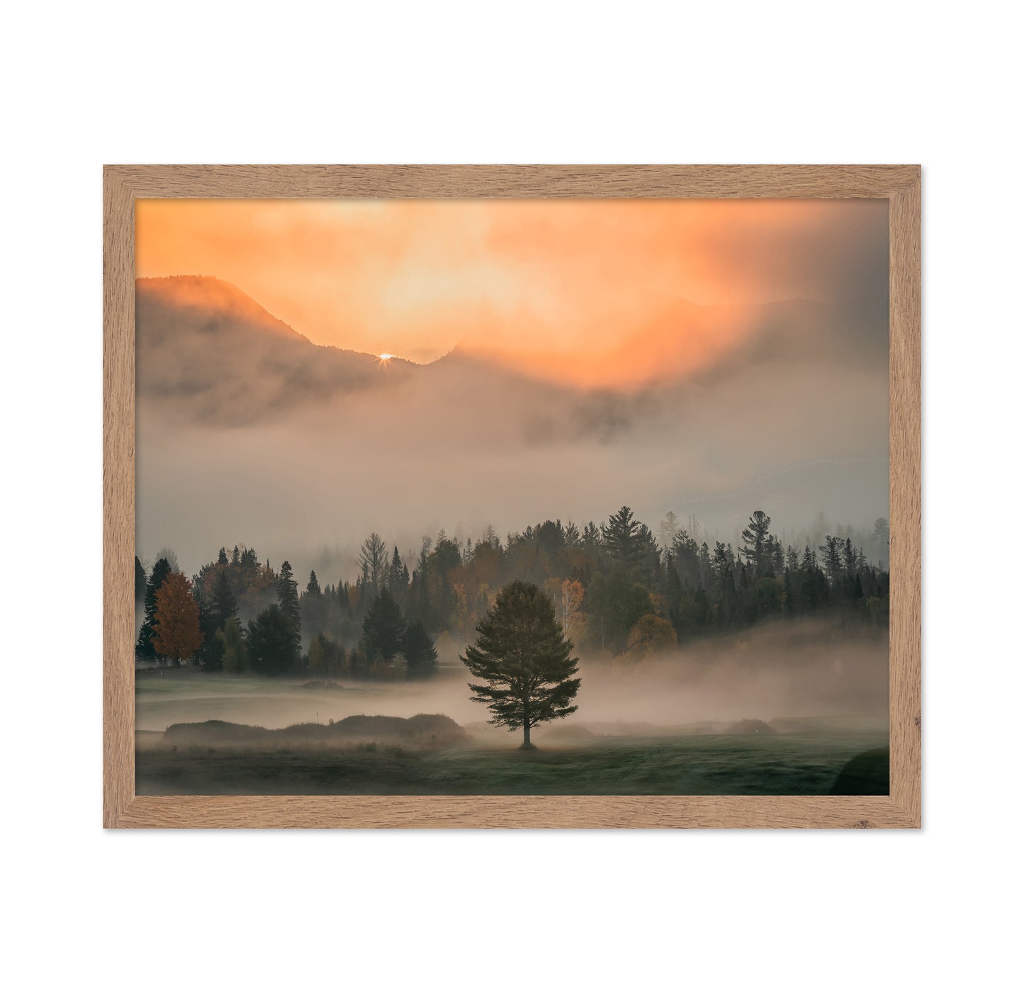 Mist No 1
