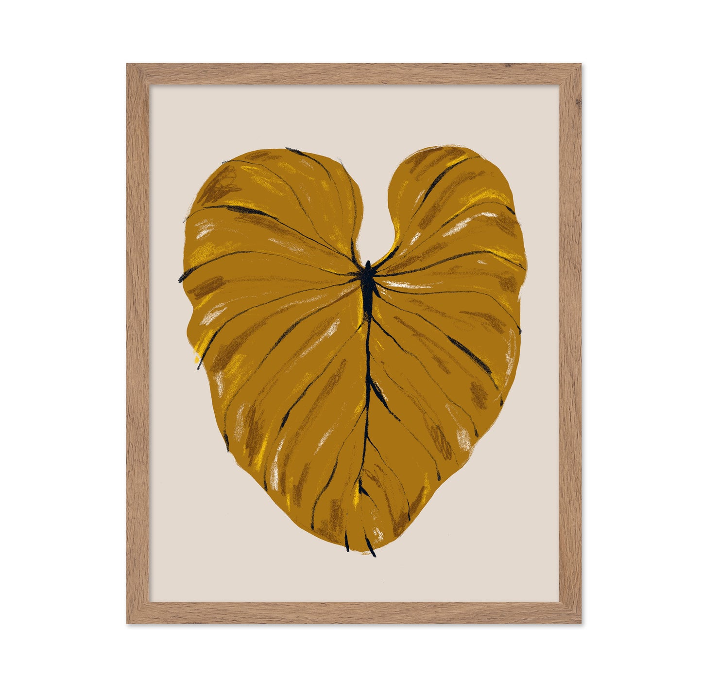 Philodendron Gloriosum Mustard