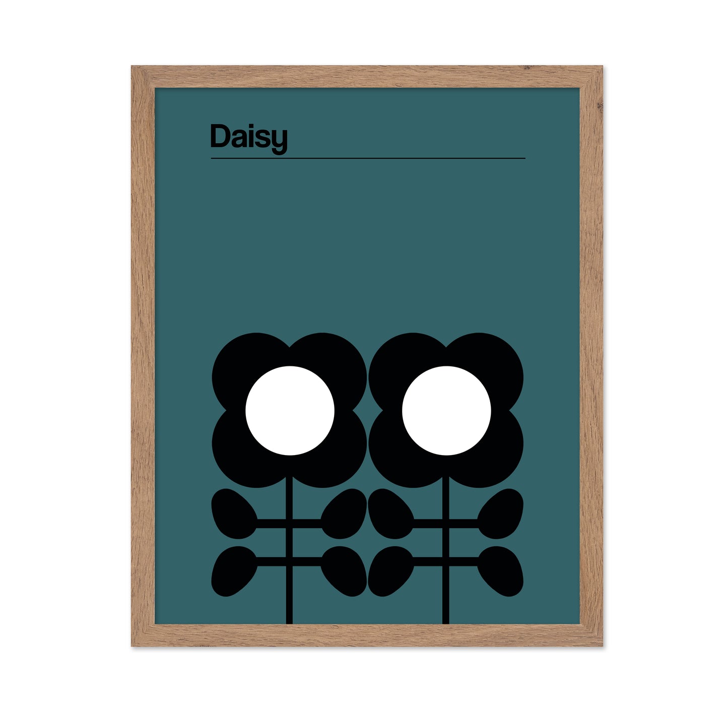 Daisy Teal