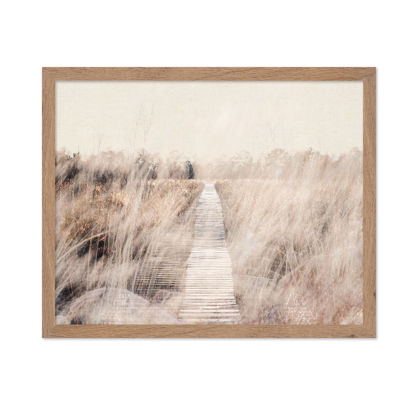 Dreamy Landscape