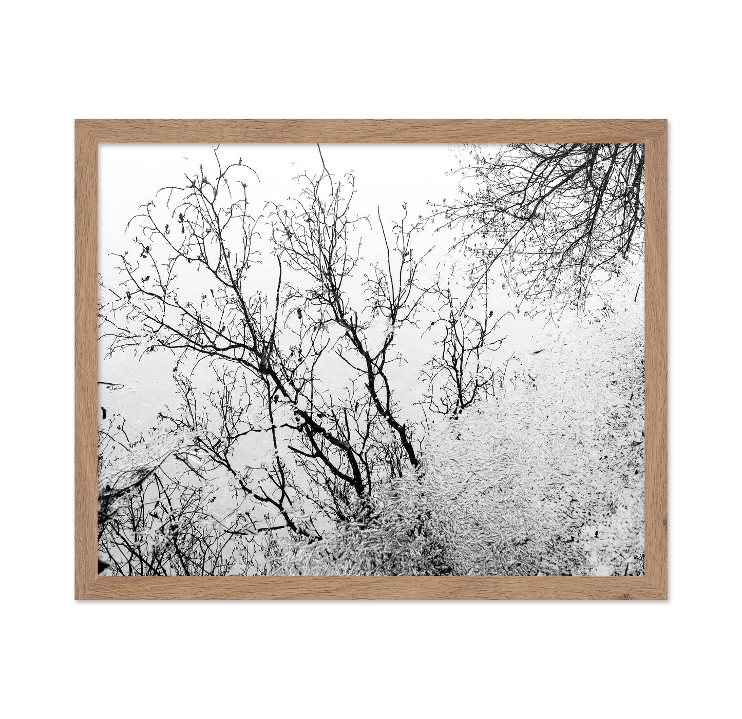 Tree Reflection