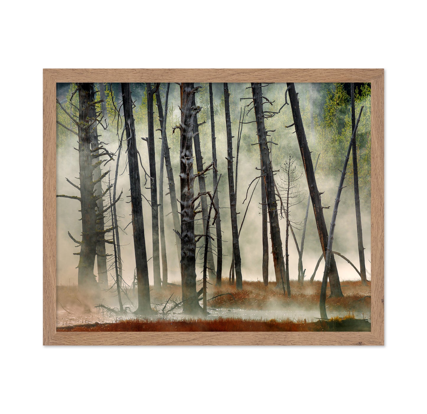 Dead Wood