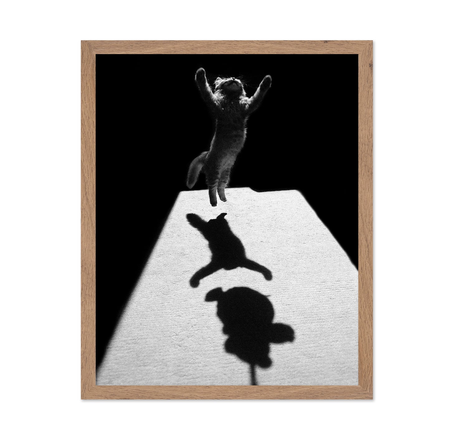 Shadow Dancer