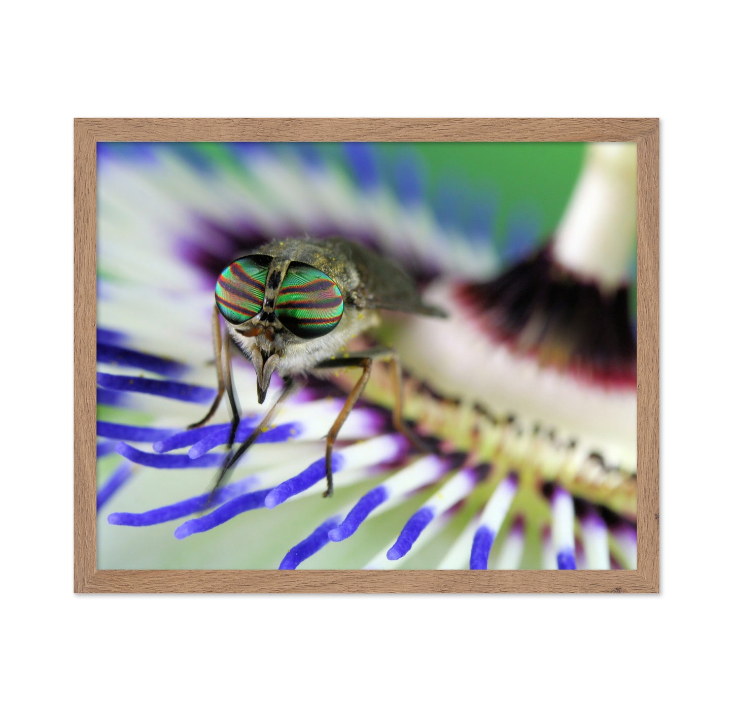 Eye-Catching