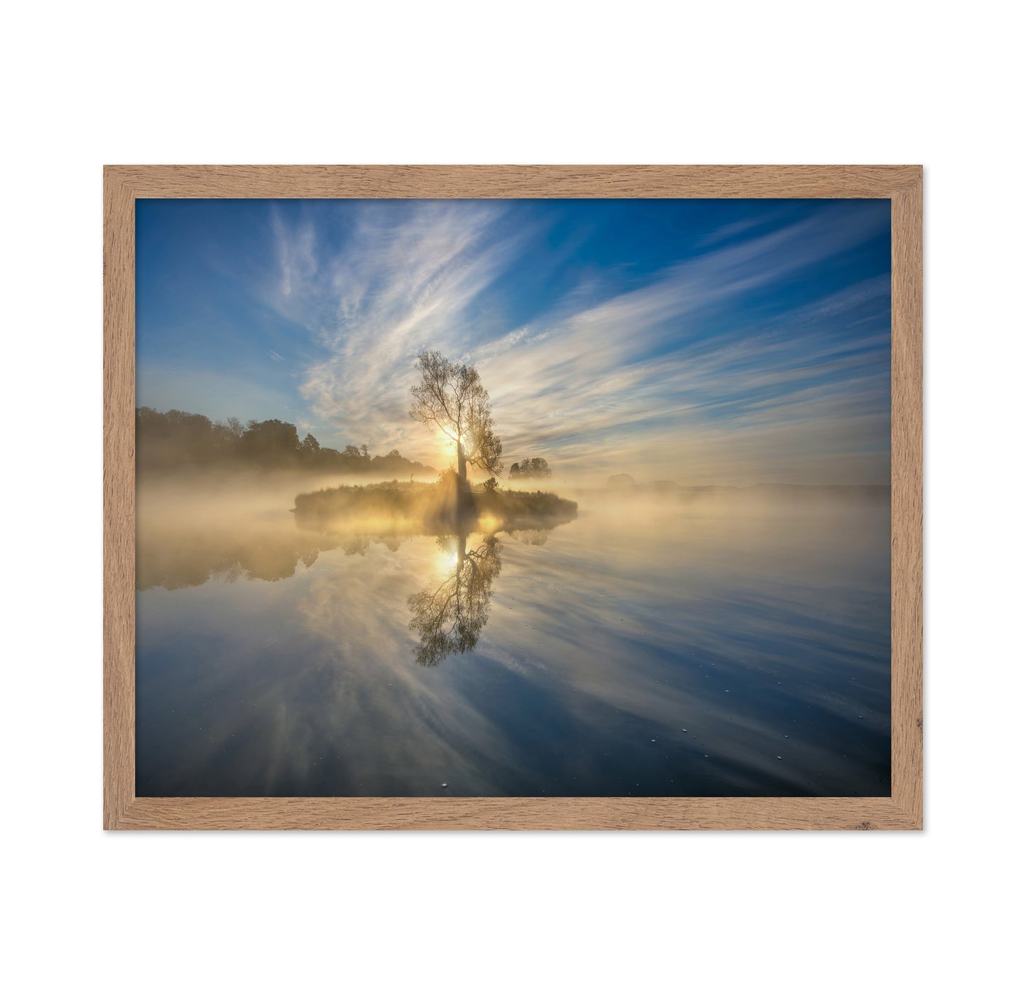 Morning Sunlight Reflection