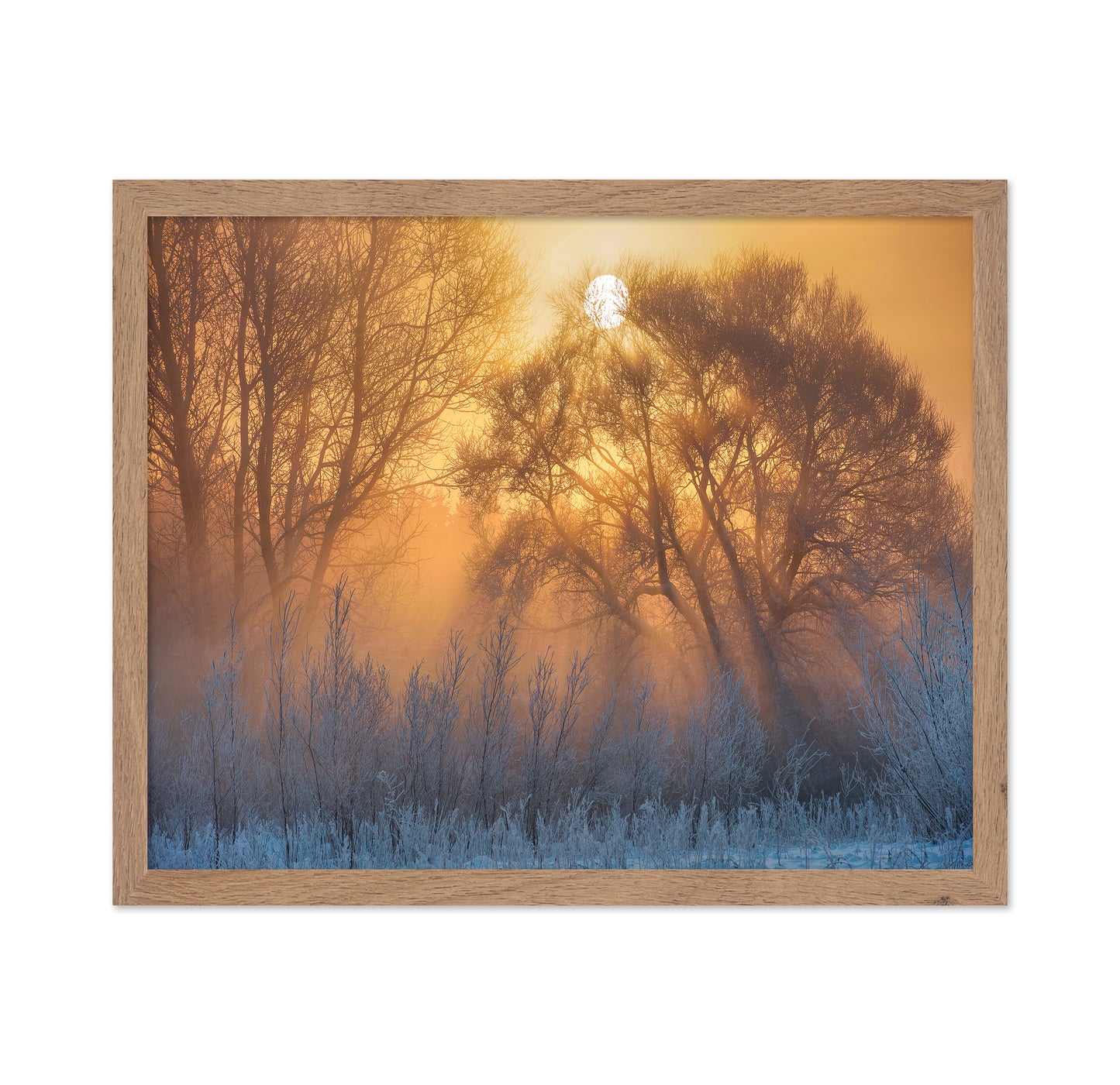 Warm And Cold