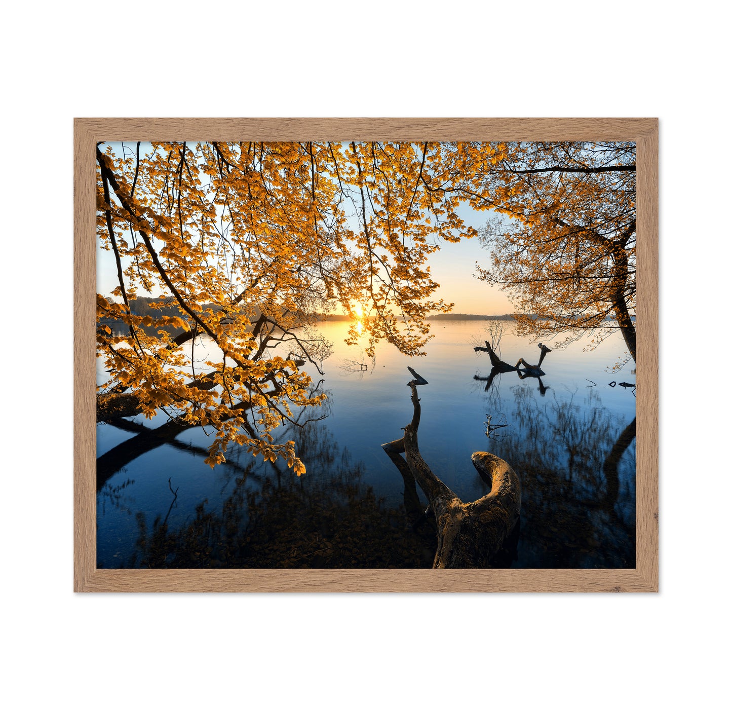 Autumn Morning